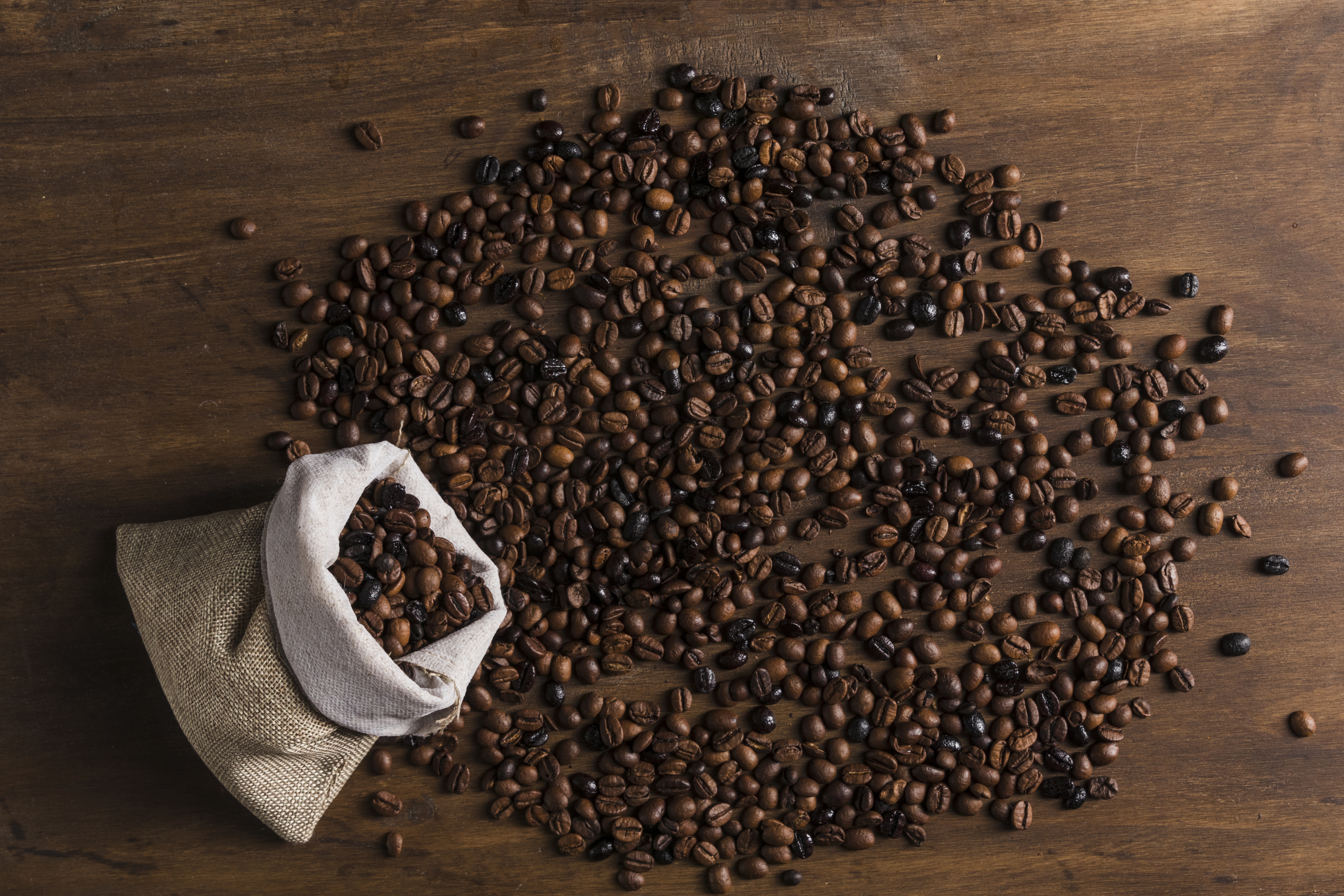 Pacamara